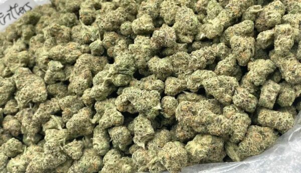 apple fritter strain