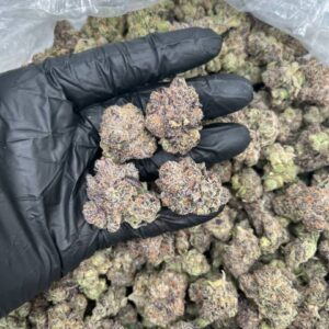 apple fritter strain