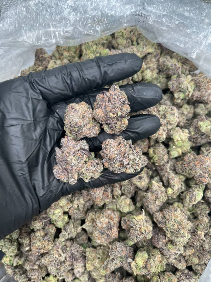 apple fritter strain