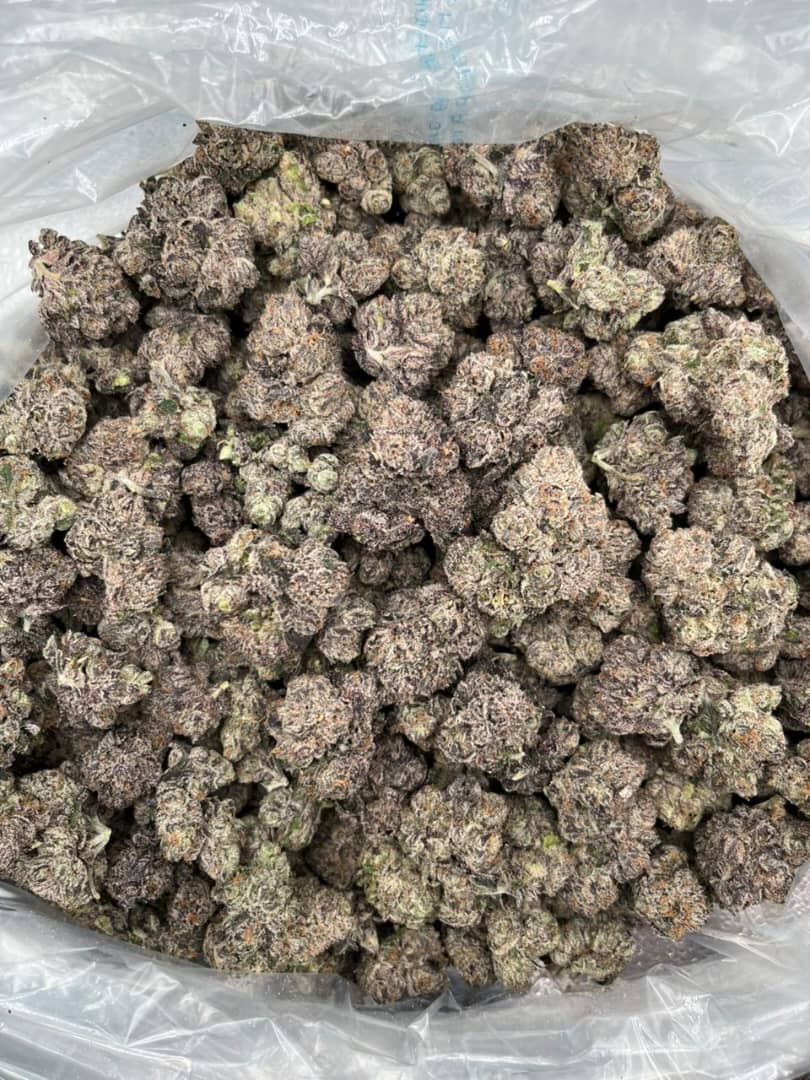 white rhino kush strain