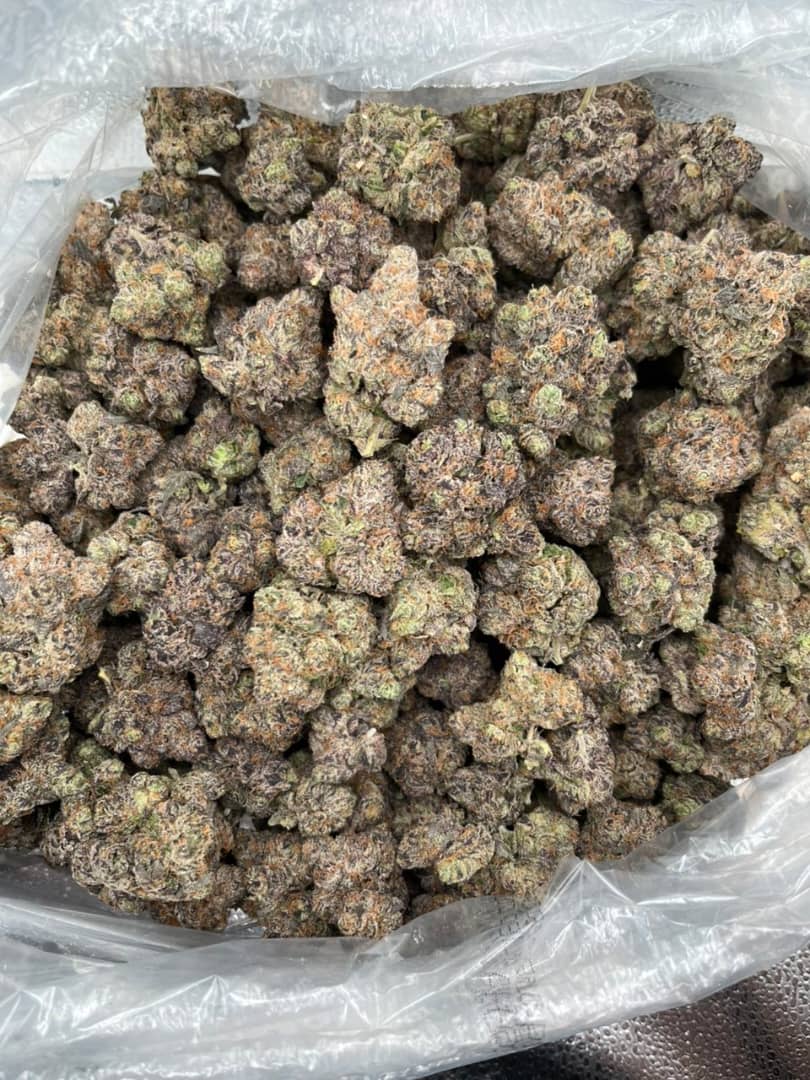 white truffle strain