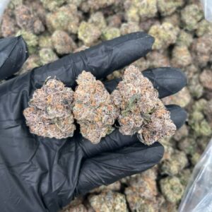 white truffle strain