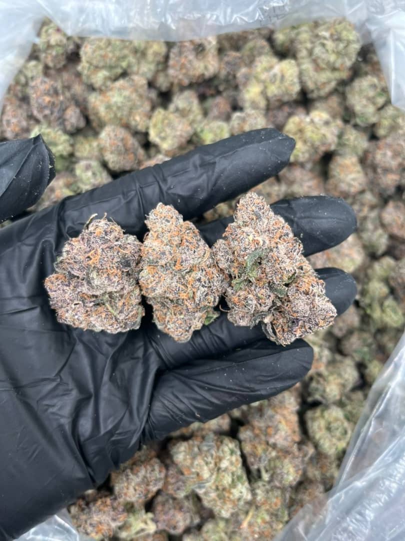 white truffle strain