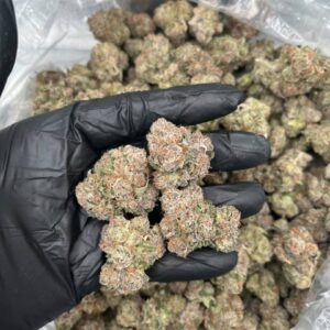 sunset sherbet weed strain