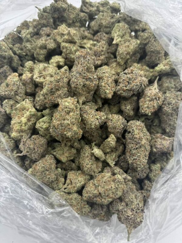dosidos strain